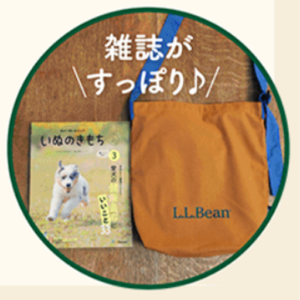 いぬのきもち6月号　LLBeanショルダーバッグ　大きさ